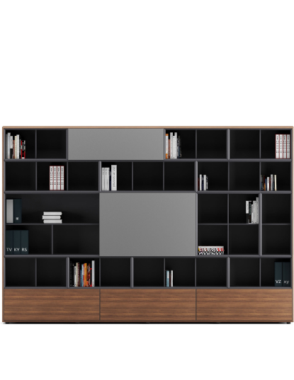 Living Room Cabinets