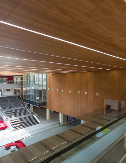 Panel Ceiling Systems