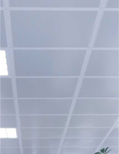 Panel Ceiling Systems